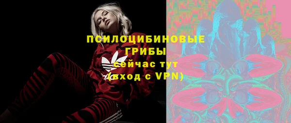 прущий лед Аркадак