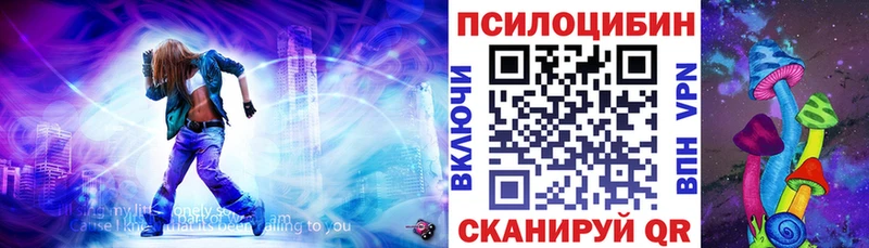 продажа наркотиков  Мамадыш  Псилоцибиновые грибы мицелий 